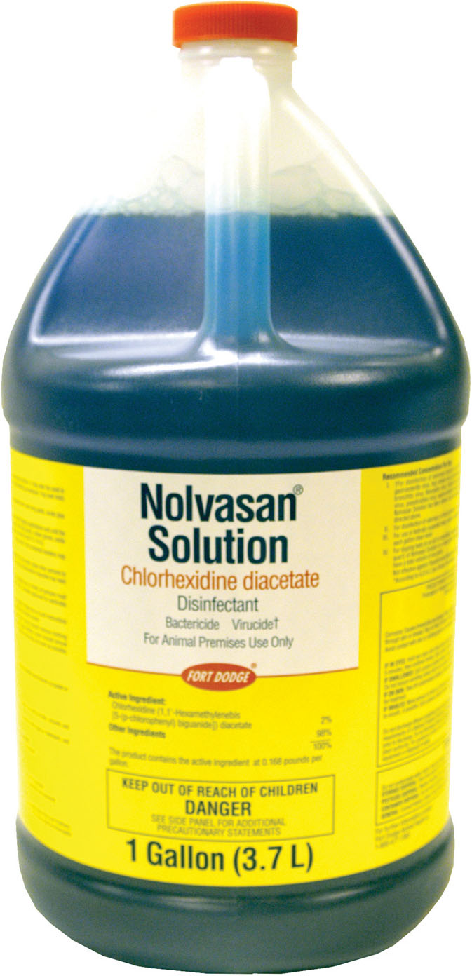 Pfizer EquineNolvasan Disinfectant 1 Gallon eBay