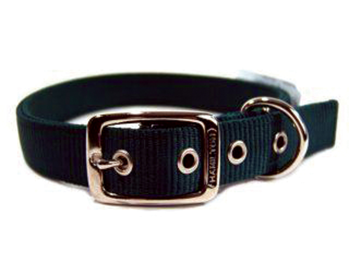 Hamilton Pet Company Double Thick Nylon Dog Collar Hunter Grn 1x24In eBay