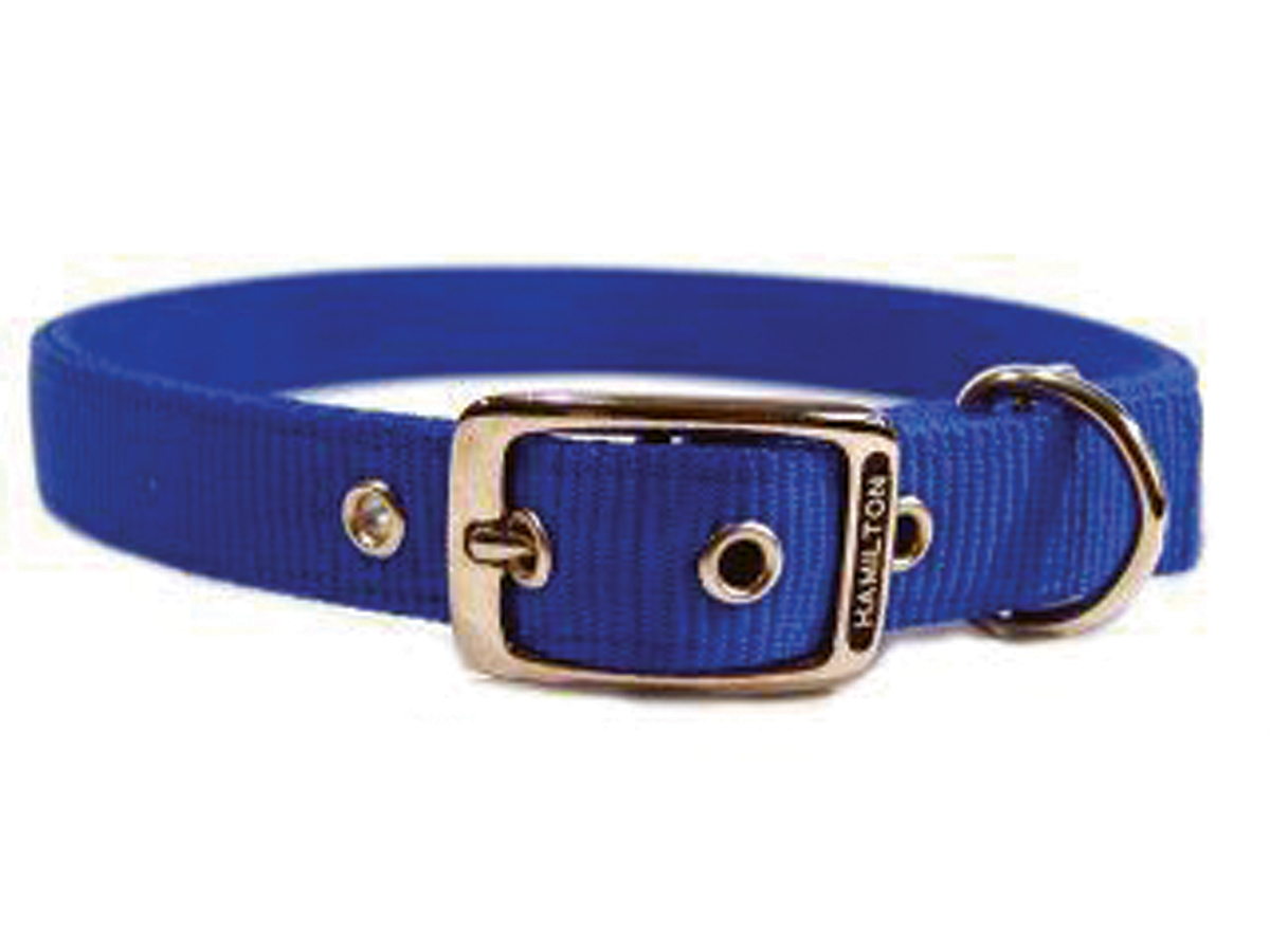 Hamilton Pet Company Double Thick Nylon Dog Collar Blue 1x28In eBay