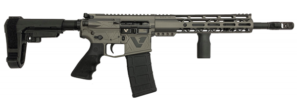 DS VARIANT 1 NON-NFA TNG