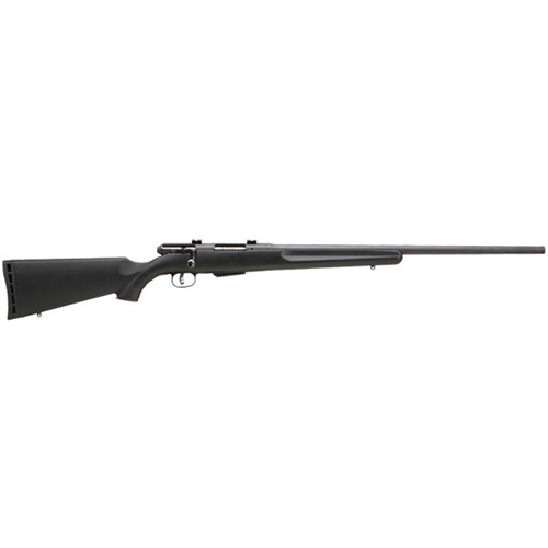 Savage Arms 25