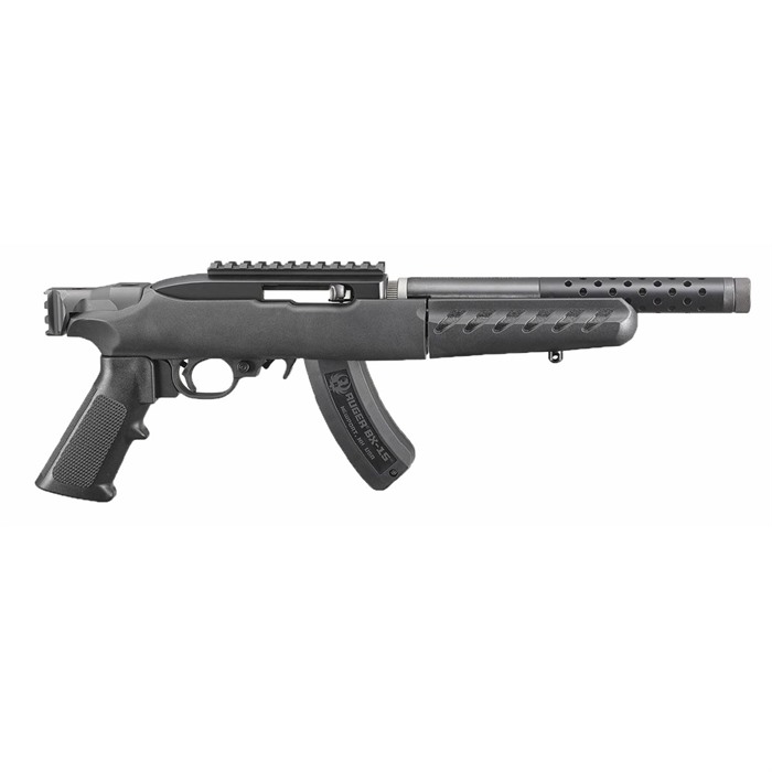Ruger 22 Charger