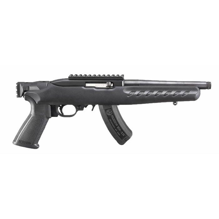 Ruger 22 Charger