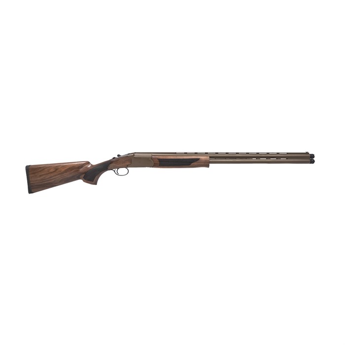 Pointer Acrius 12