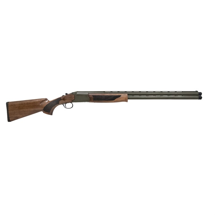 Pointer Acrius 12