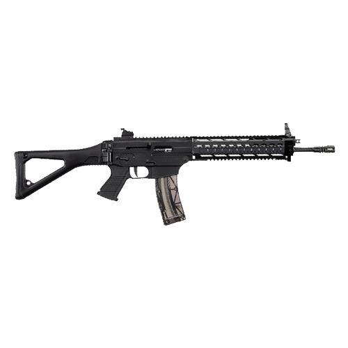 Semi Auto Sig Sauer