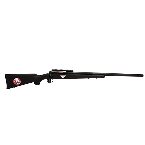 Savage Arms 10