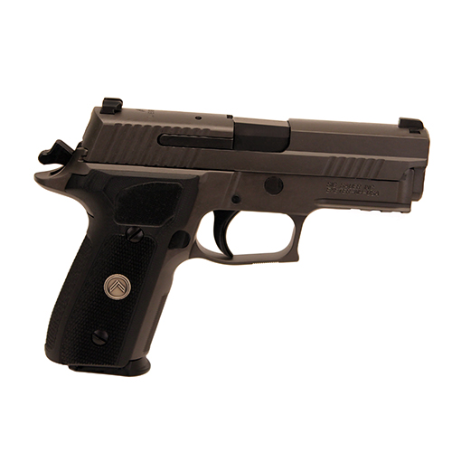 229R Legion - 357 Sig  DA/SA, 3.90" Barrel, 12 Rounds, Legion Gray and PVD