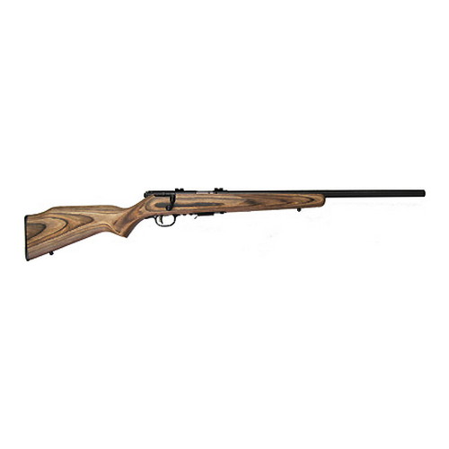 062654967344 93R17 Series - BV 17HMR 21" Blued/Black