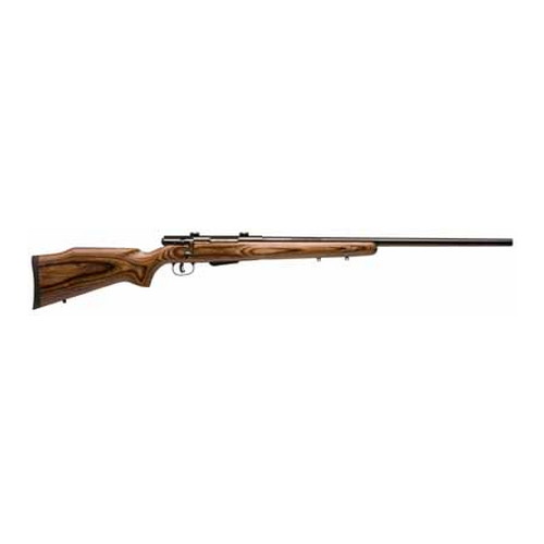 Model 25 Lightweight Varminter - 17 Hornet