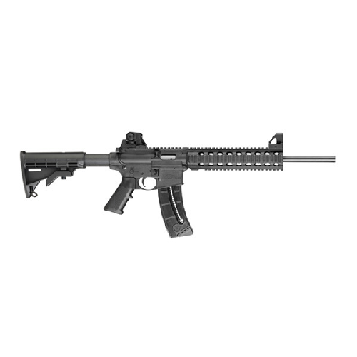 Smith & Wesson M&P15-22