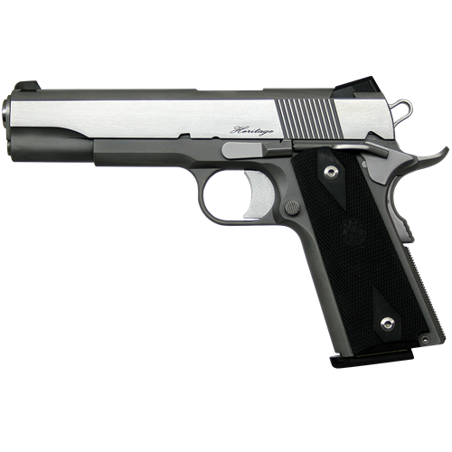 Dan Wesson RZ-45