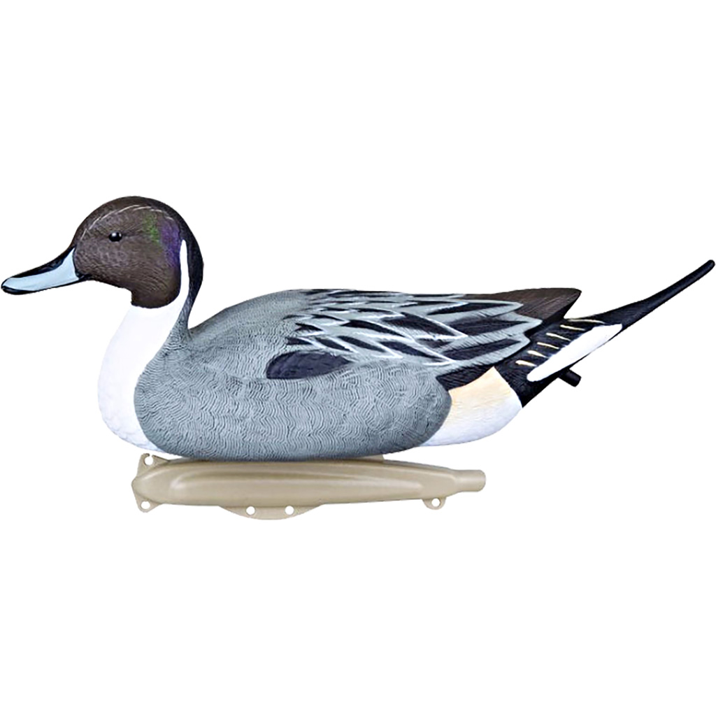 Flambeau Classic Pintail Decoy 6 Pk. Hunting Decoys at