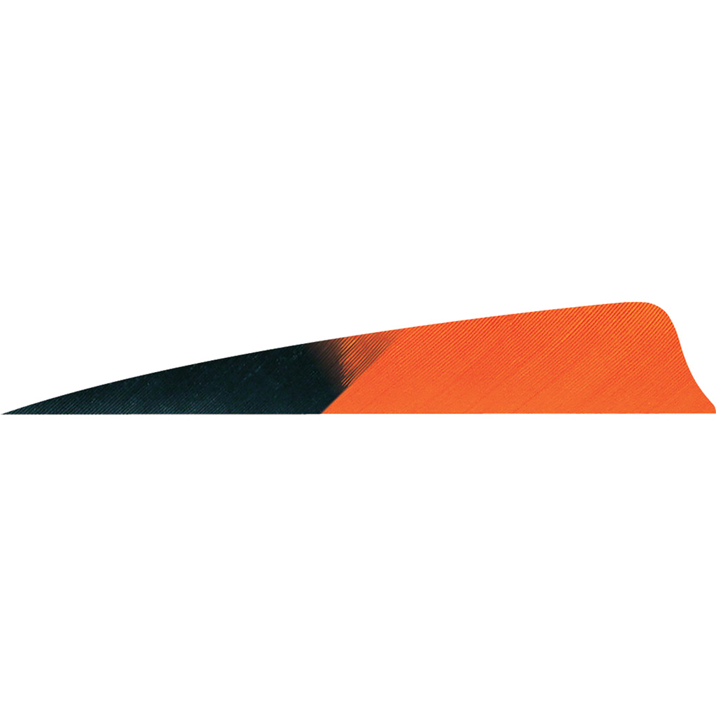 Gateway Shield Cut Feathers Kuru Tangerine 4 In. Rw 50 Pk. Archery