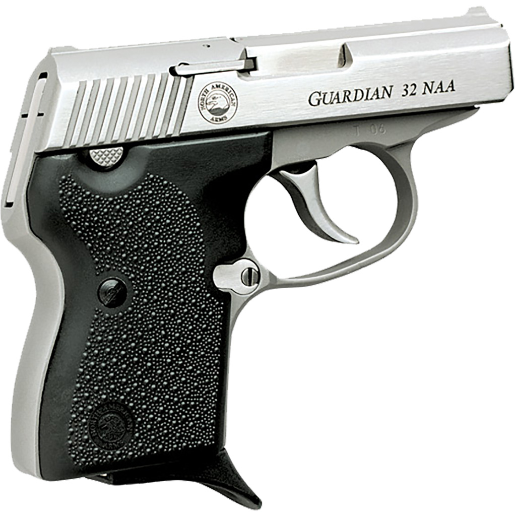 Naa Guardian Pistol 32 Naa Stainless/black 2.5 In. 6+1 Rd.
