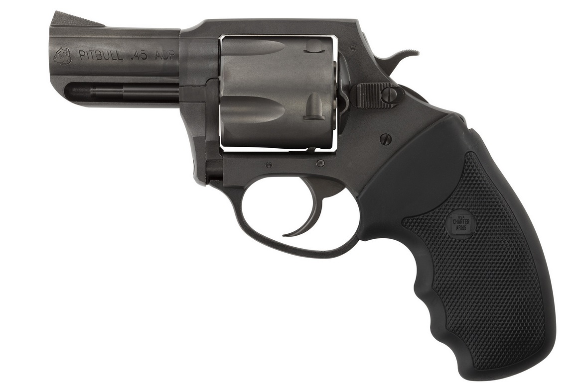 Charter Arms Pitbull 45acp Nit 2.5"-img-0