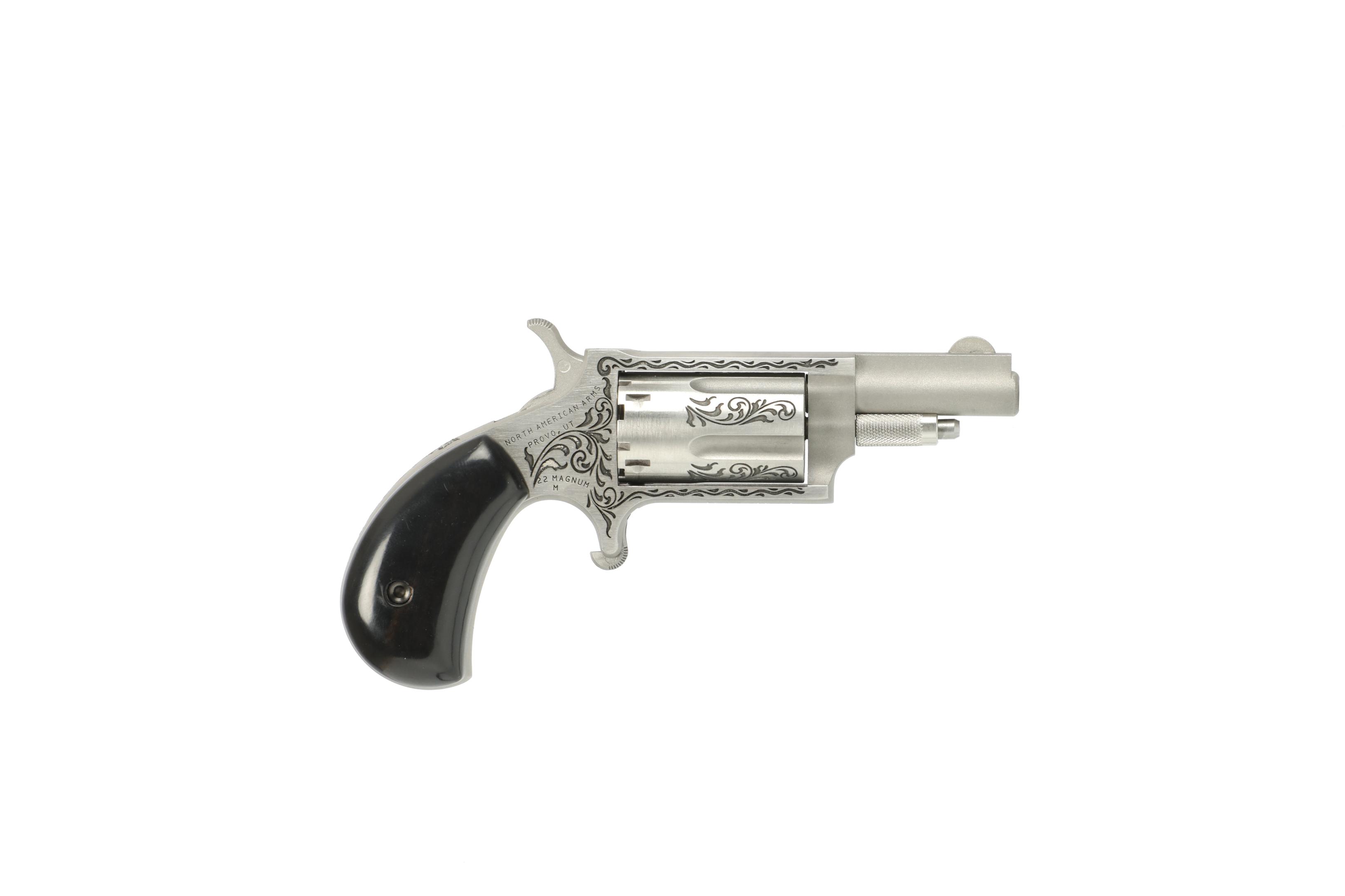 North American Arms Mini-