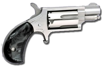 744253001086 North American Arms Mini 22mag Rev 1-1/8 Ss Blkprl