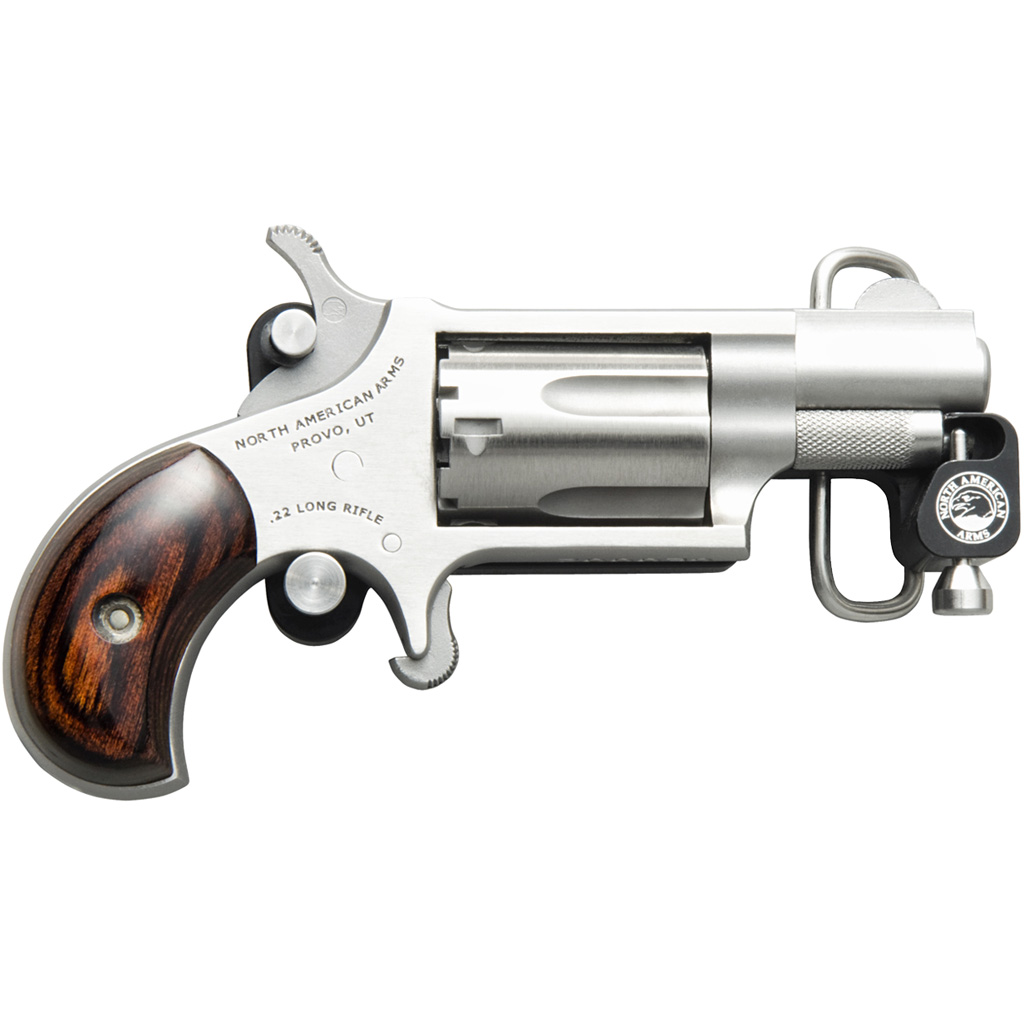 744253003387 Naa Mini-revolver W/ Belt Buckle 22 Lr Stainless/matte Wood 1.13 In. 5 Rd.