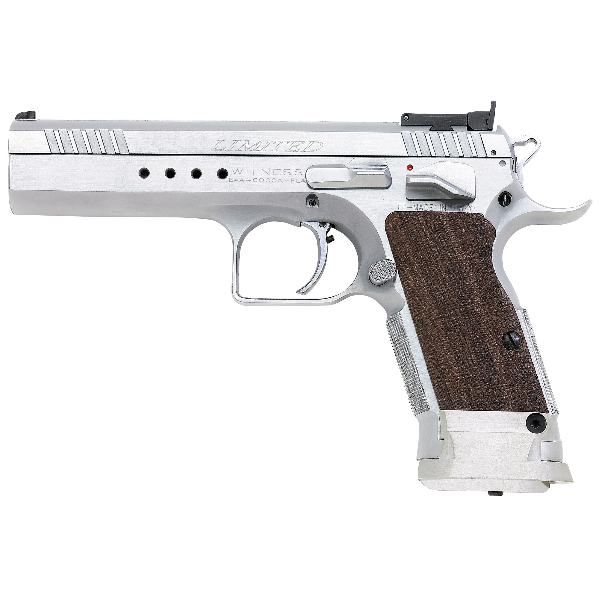 European American Armory Witness