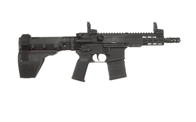 Armalite M-15
