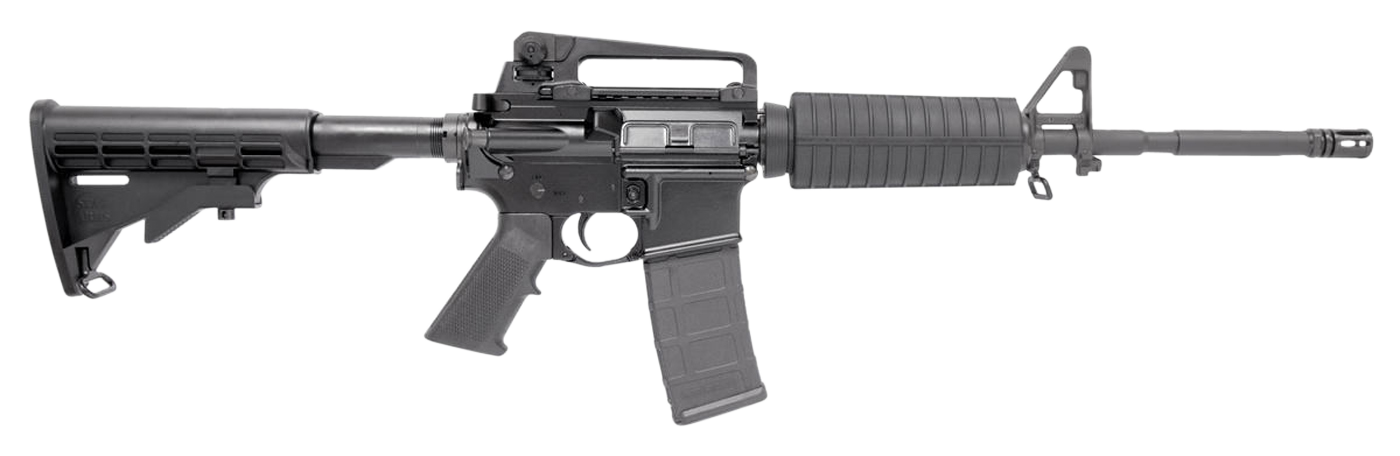 Stag Arms Stag 15
