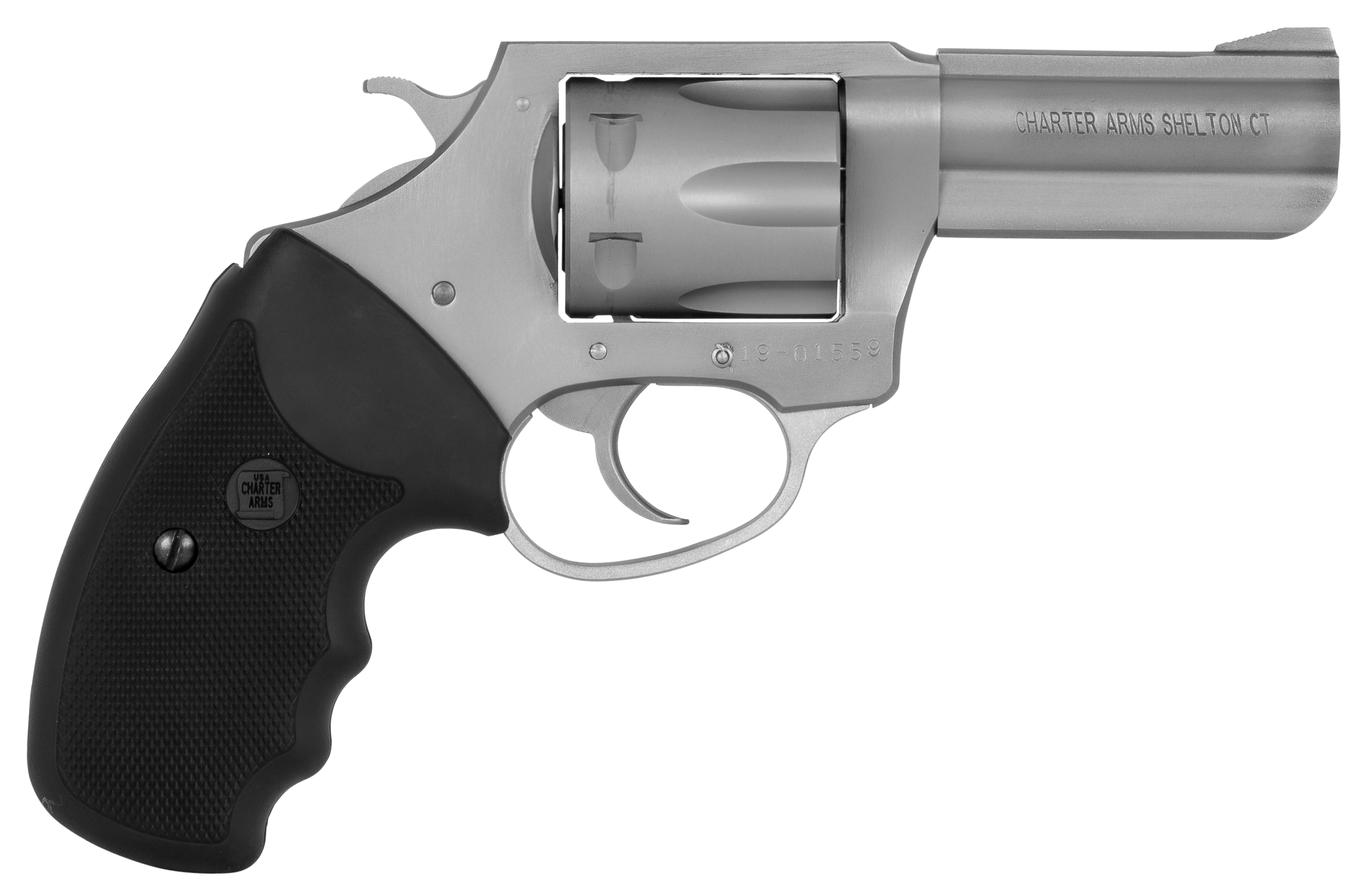 678958738025 Charter Arms Pitbull, Cha 73802 Pitbull        380 3.0 6shot         Ss