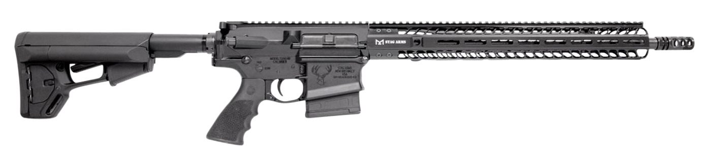 Stag Arms Stag 10