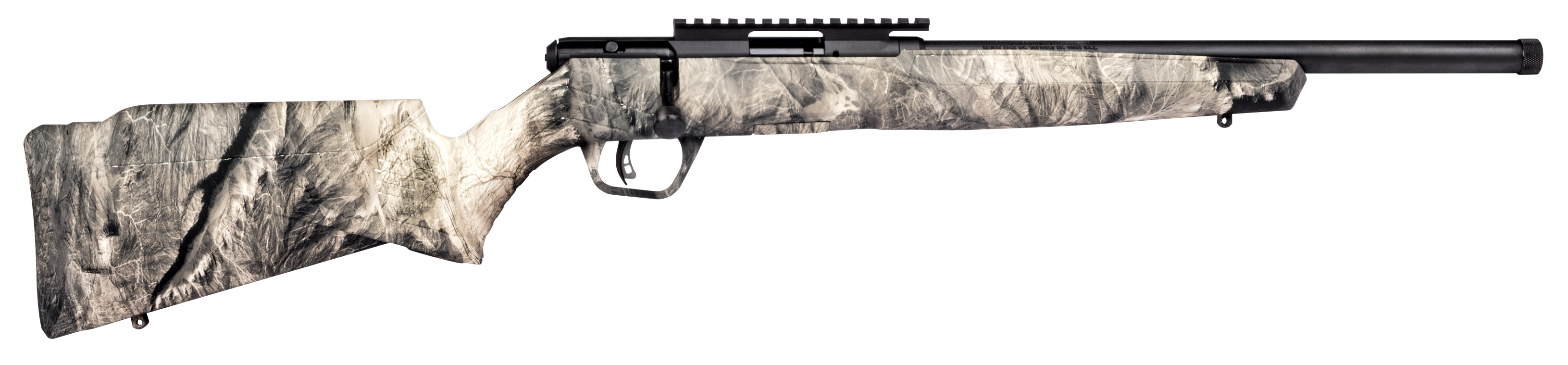 Savage B17, Sav 70847 B17           17hmr Bolt Overwatch