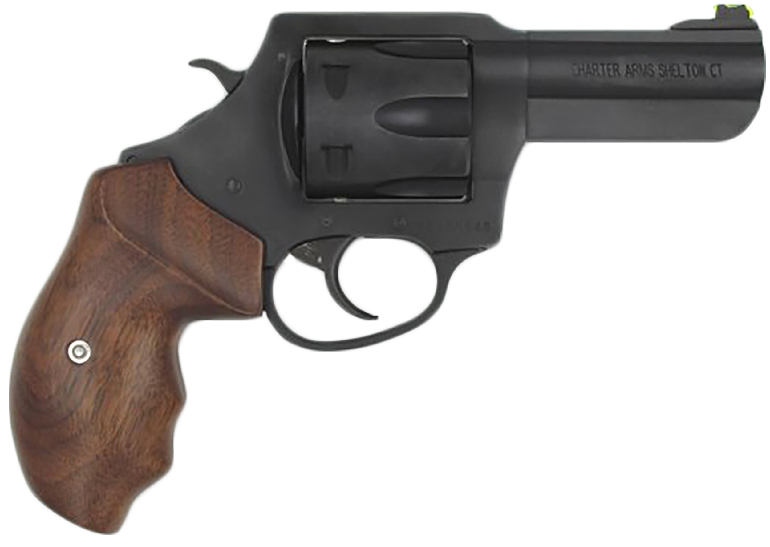 Charter Arms Professional
