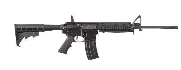 FN FN 15