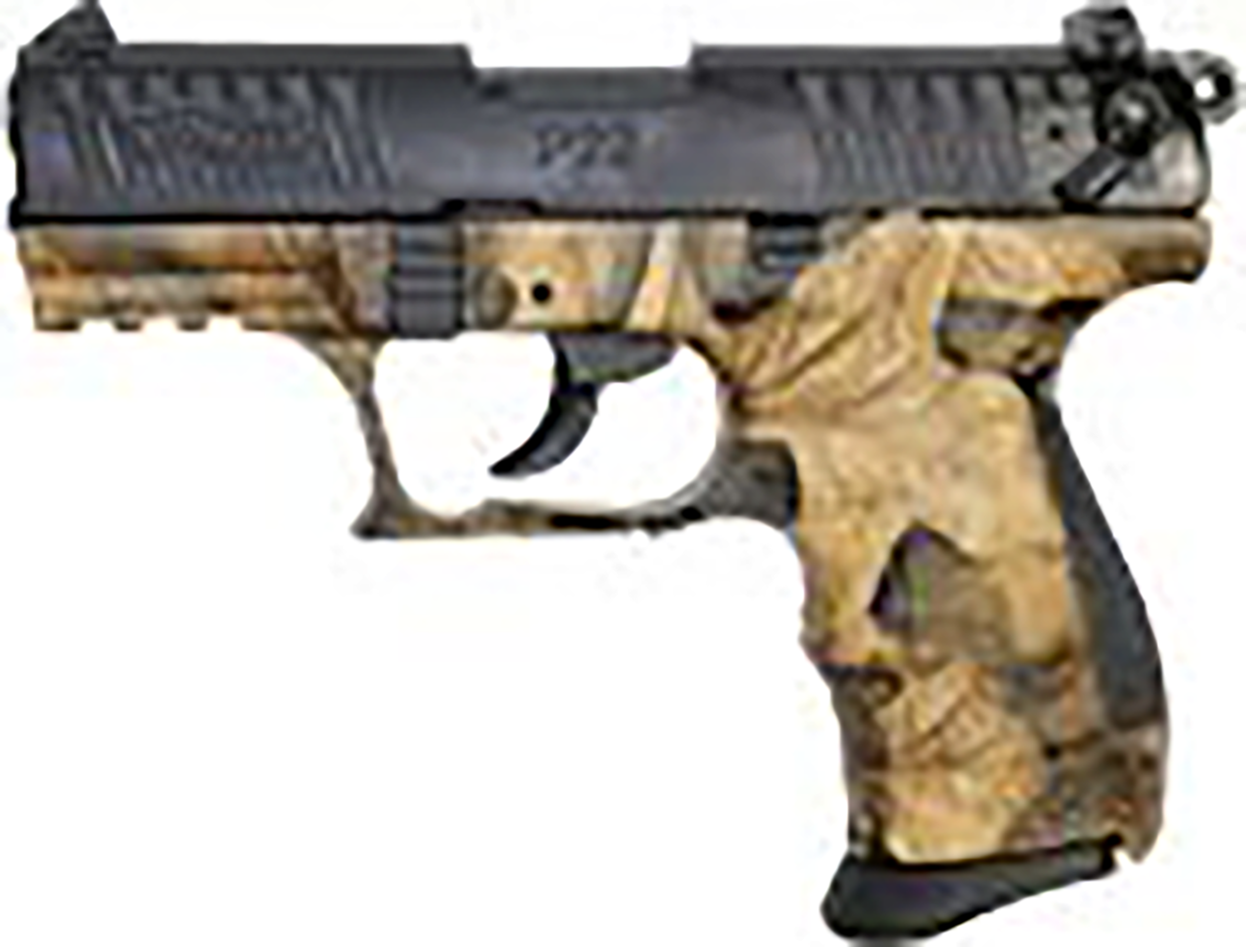 Semi Auto Walther Arms