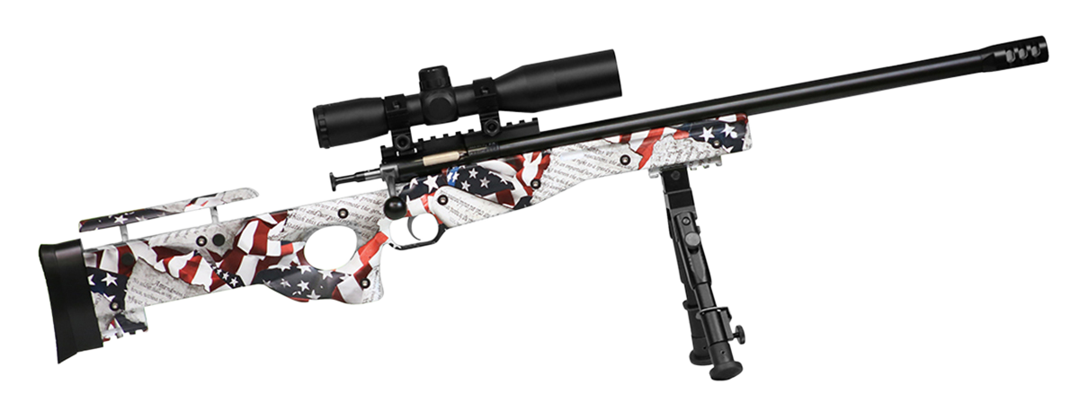 Crickett Crickett Precision CPR