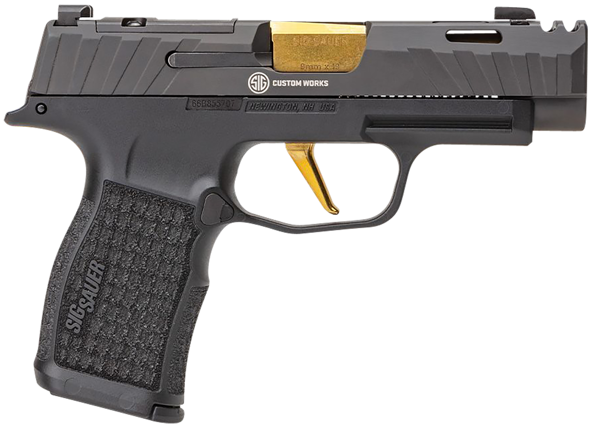 Sig Sauer P365xl, Sig P365v00310          P365 9mm Xlspc 3.1 10r Blk