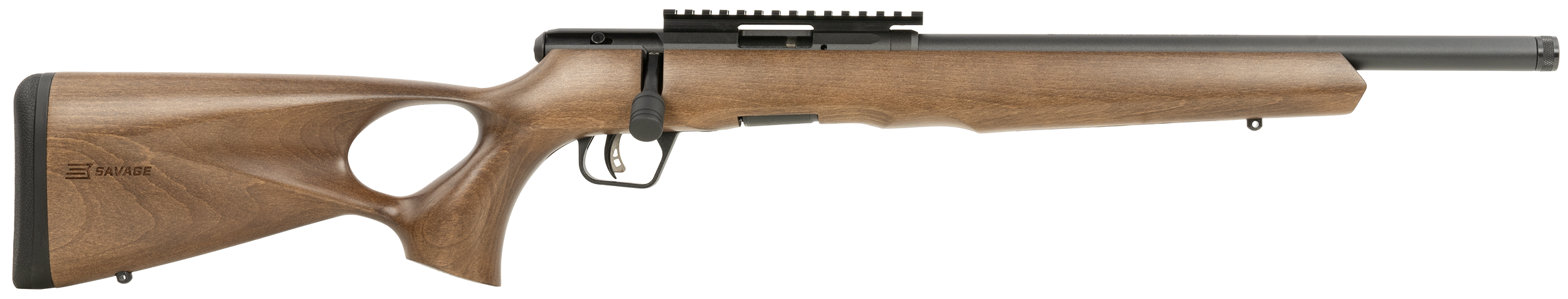 062654708176 Savage B Series, Sav 70817 B17 17hmr Bolt Timber Th