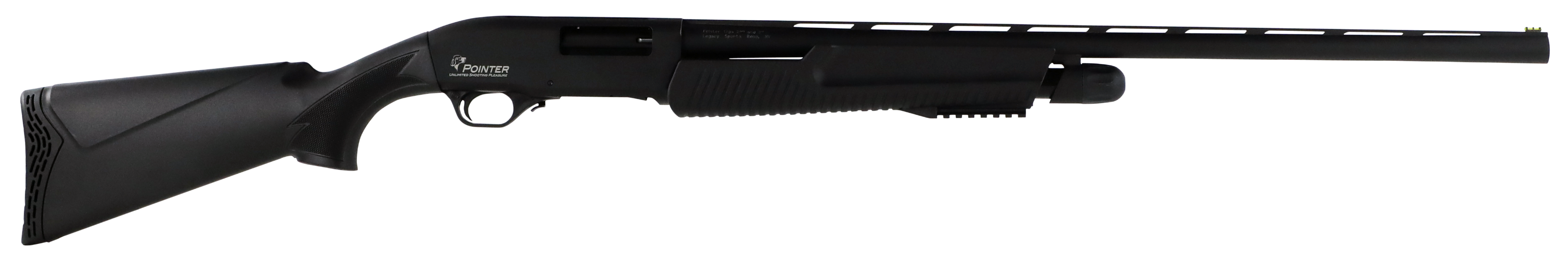 Pointer Standard Field