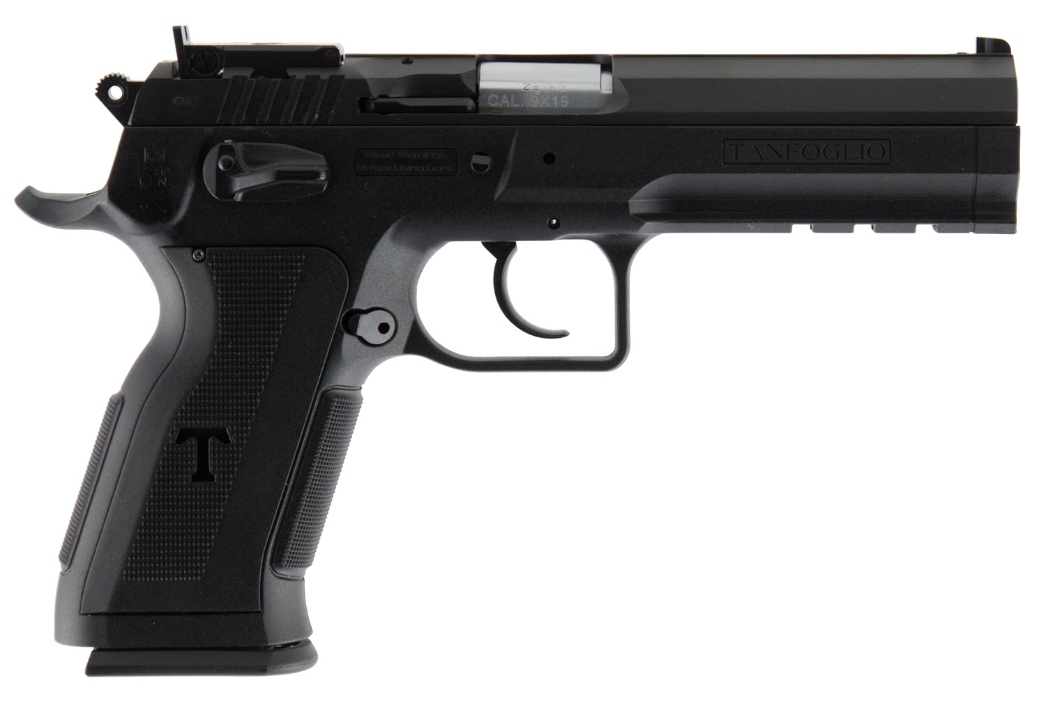 European American Armory Witness