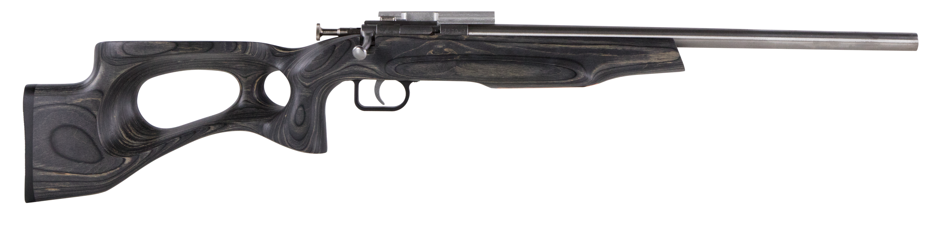 Crickett Black Target, Crick Ksa2644    Black Tgt Model S/s