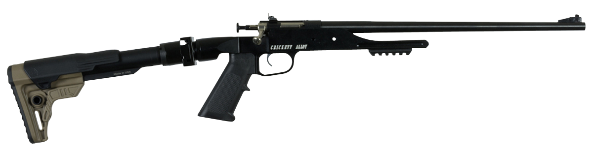Crickett Precision, Crick Ksa2180    22lr Precision      16.13 1r  Blk