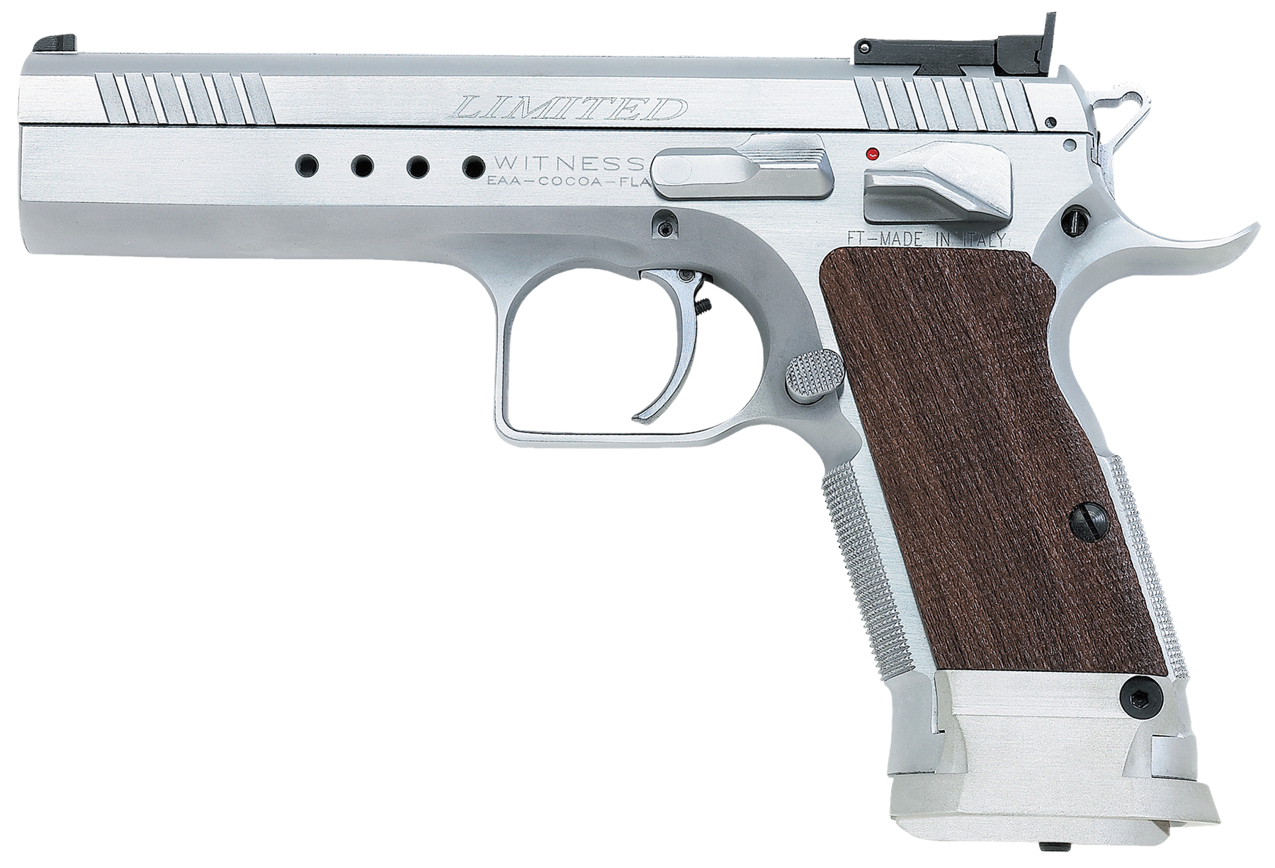 European American Armory Witness