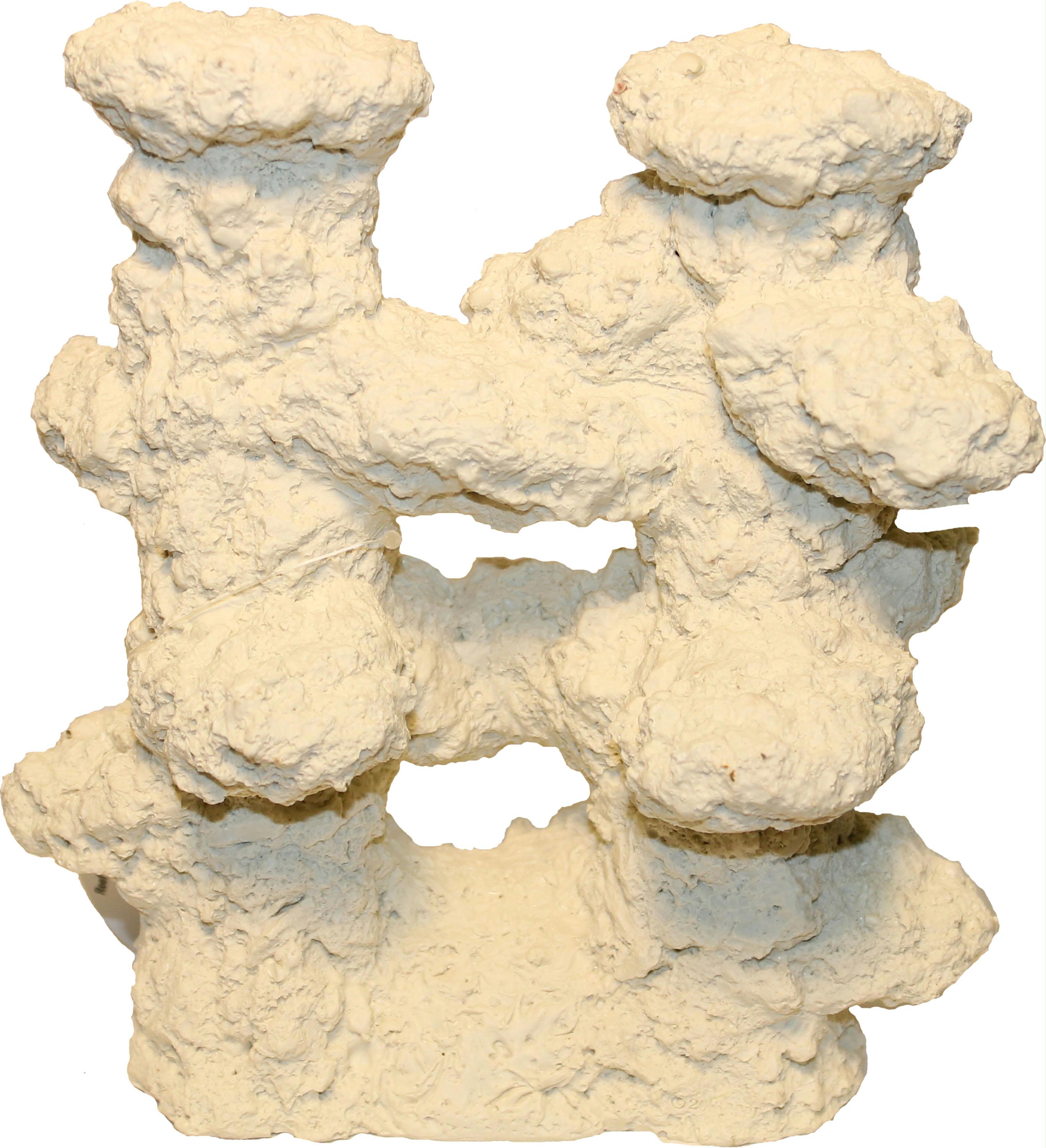 reef rock columns coral