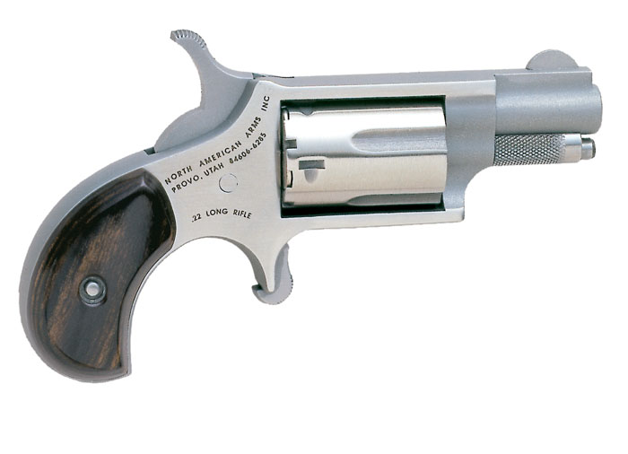 Naa 22lr Rev 1-1/8" W/xtra Cyl