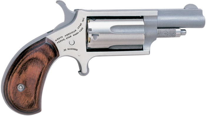 NAA - NORTH AMERICAN ARMS Mini