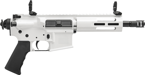 KRISS DMK22P